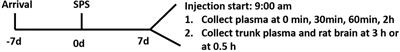 An Advanced Transcriptional Response to Corticosterone After Single Prolonged Stress in Male Rats